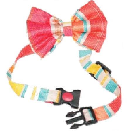 Pet Bow 1